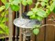 Photo touch control outdoor lantern travertine finish